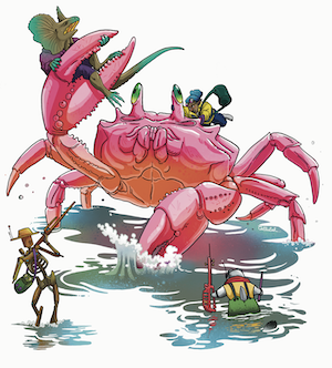 Adventurers startle a giant mangrove crab