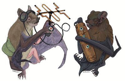 Artwork for New Zealand Bat Hui 2026